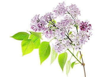 《最后纪元》第二赛季“被抹灭者的陵墓”20分钟概览 4月17日上线